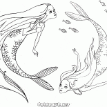 Mermaids piscine