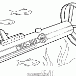 Mer et océan sonar