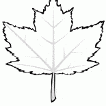 Lérable rouge