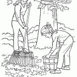 Nettoyage des feuilles mortes