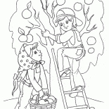 La récolte de printemps