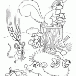 Les animaux ne les stocks