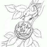 Les poussins dans le nid