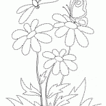 Papillon sur une fleur