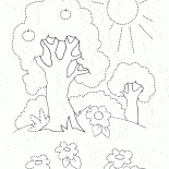 Les arbres dans lété