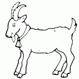Goat - un symbole de lannée