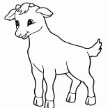 Petite chèvre