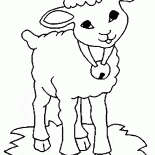 Les moutons avec une cloche