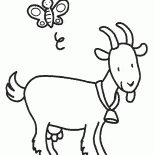 Chèvre avec une cloche autour du cou