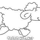 Moutons sur le déménagement