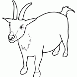 Chèvre Alerte