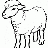 Symbole 2015