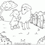 Les moutons et les agneaux