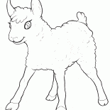 Little Lamb avoir du plaisir