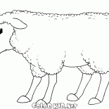 Moutons Sourire