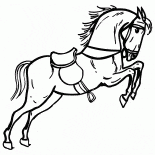 Cheval dans le cirque