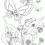 Lys fleurissent