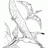 Pteranodon et un ptérodactyle