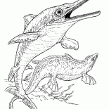 Ichthyosaur et plésiosaure