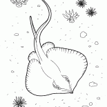 La chasse de Scat
