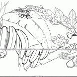 Figues et la banane