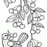 Une branche avec des cerises