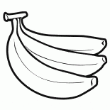 Le palmier à huile fruits