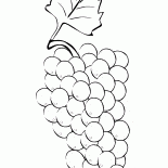 Grappe de raisins