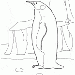 Penguin dans lArctique