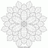 Flocon de neige inhabituelle