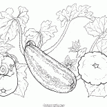 Situé à quelques légumes