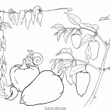 Poivre bulgare