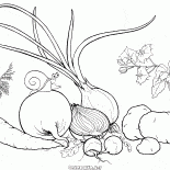 Légumes du jardin