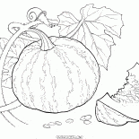 Citrouille sur la ville