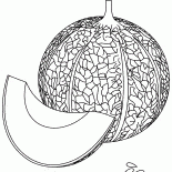 Melon