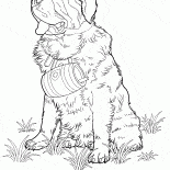 St. Bernard chien