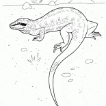 Lézard sur la chasse