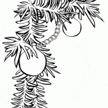 Branches de sapin