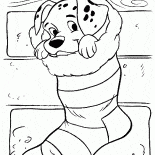 Dalmatien