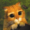 Le Chat potté