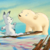 Plume, le petit ours polaire