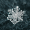 Flocons de neige