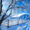 Saisons Hiver
